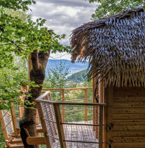 treehouse-cadca-002_original