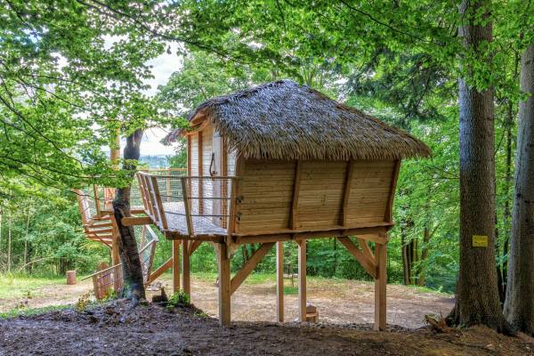 treehouse-cadca-015_original