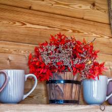 cadca_stromovy_domcek_treehouse_008_original